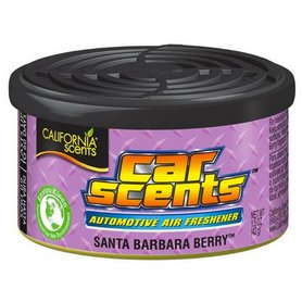 Vůně do auta California Scents Lesní ovoce 42 g